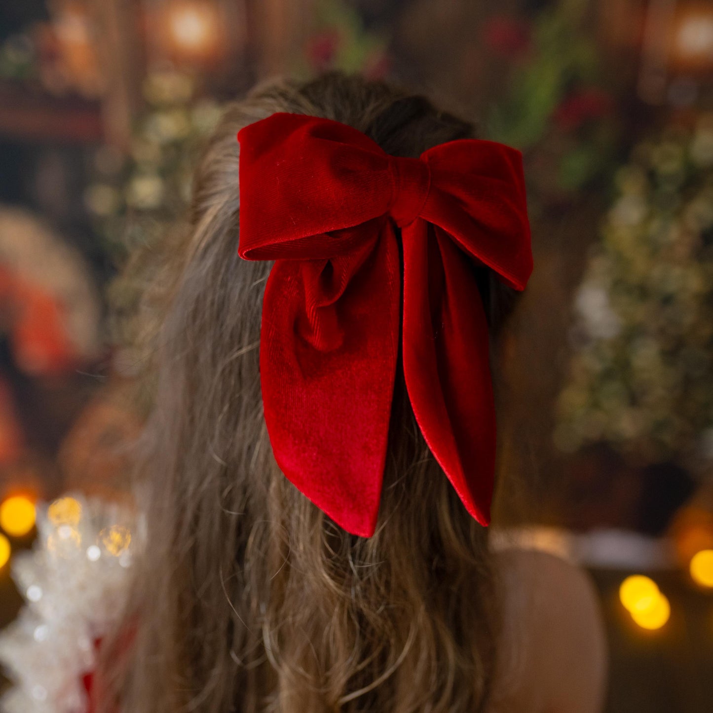 Red Velvet Christmas Dress: Shiny Tulle Dress with Personalized Bag
