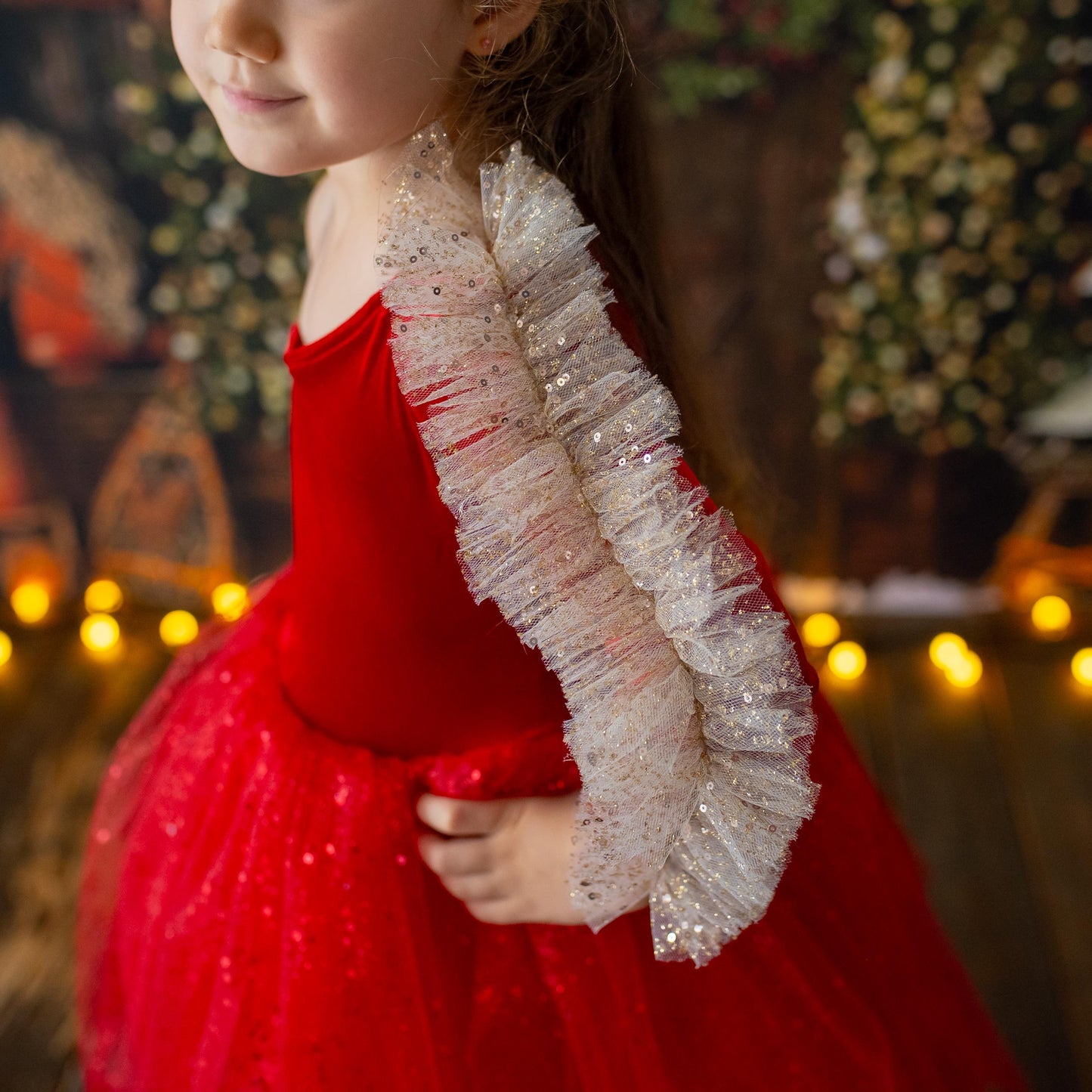 Red Velvet Christmas Dress: Shiny Tulle Dress with Personalized Bag