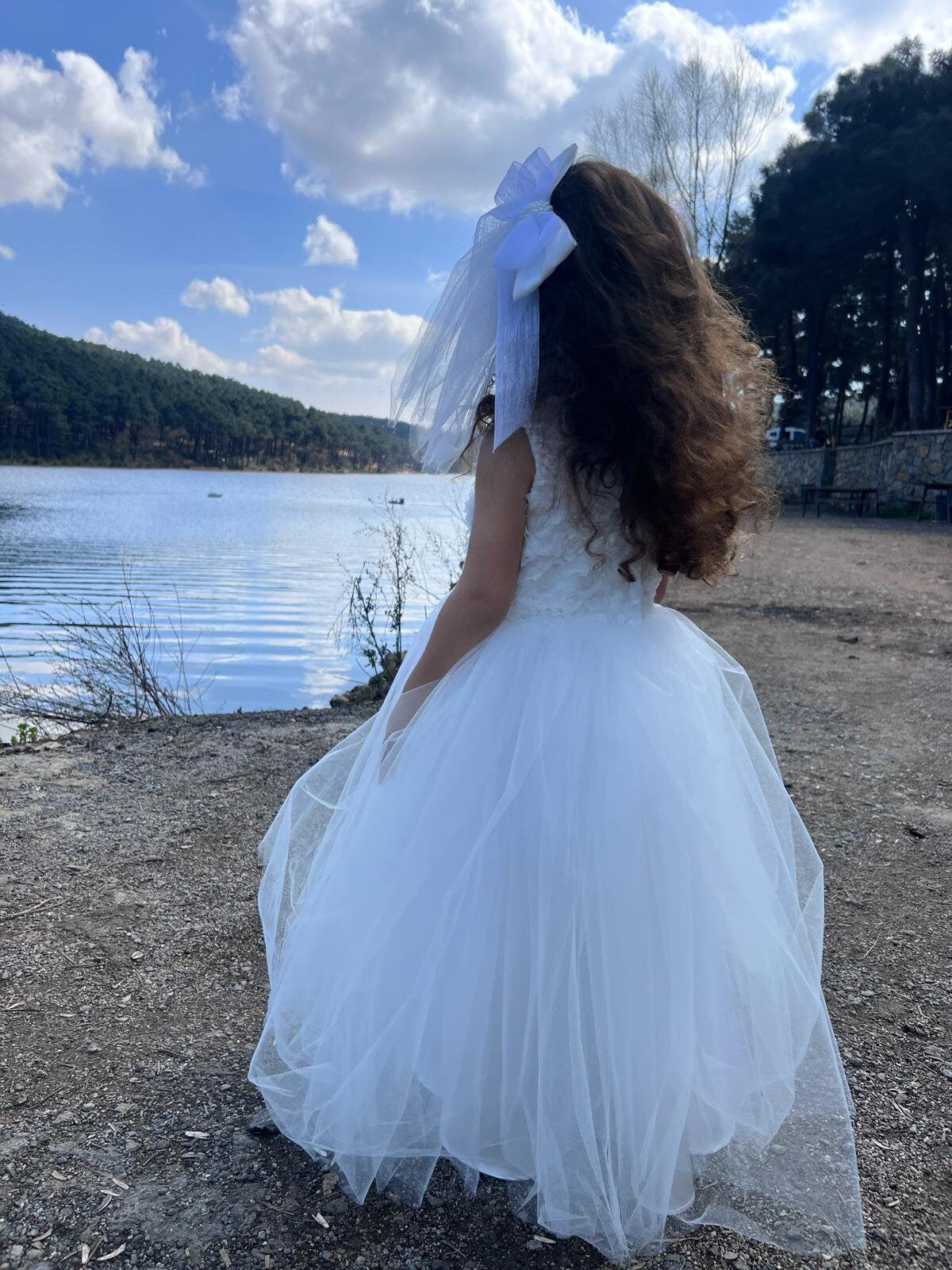3D Flower Girl Tulle Dress: Elegant First Communion, Baptism