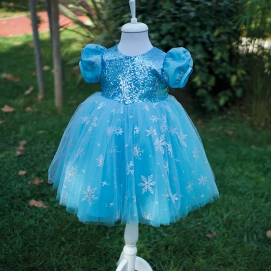 Girls' Elsa Princess Dress: Blue Fluffy Tutu, Birthday Party Dress