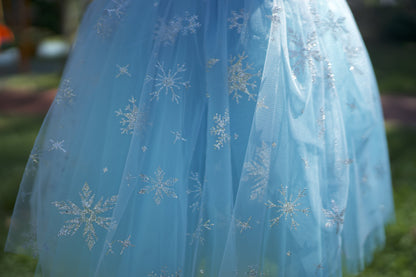 Girls' Elsa Princess Dress: Blue Fluffy Tutu, Birthday Party Dress