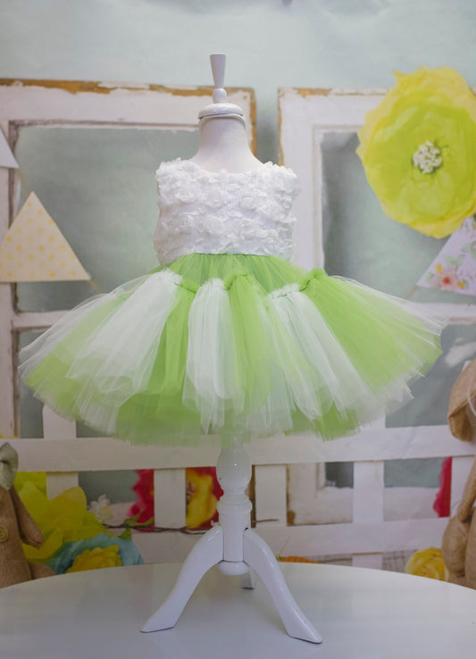Princess Green and White Tulle Dress: Baby Wedding, First Birthday