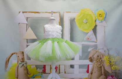 Princess Green and White Tulle Dress: Baby Wedding, First Birthday