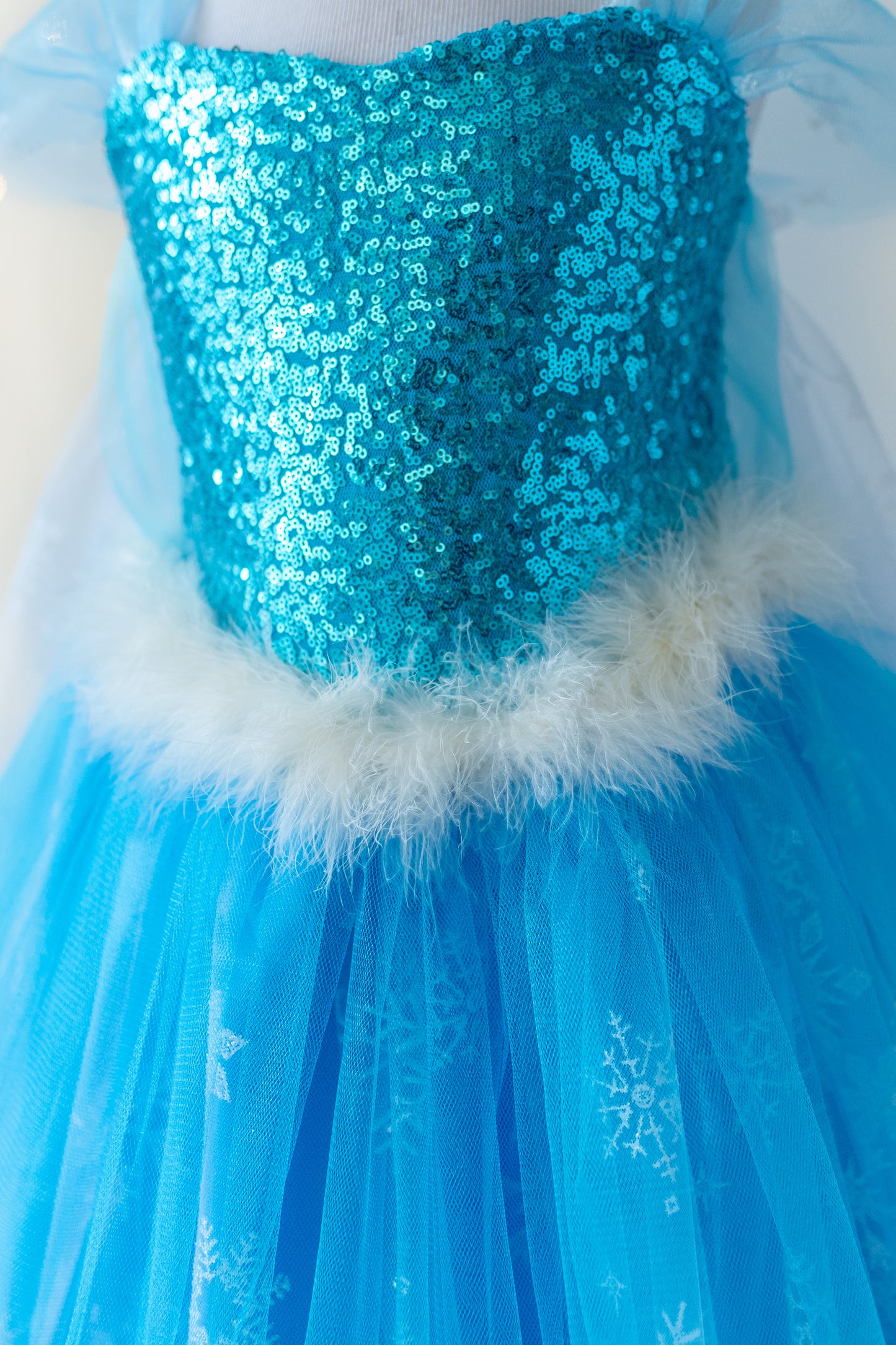 Sparkling Elsa-Inspired Princess Costume