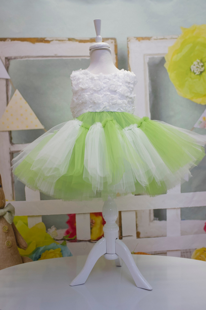 Princess Green and White Tulle Dress: Baby Wedding, First Birthday