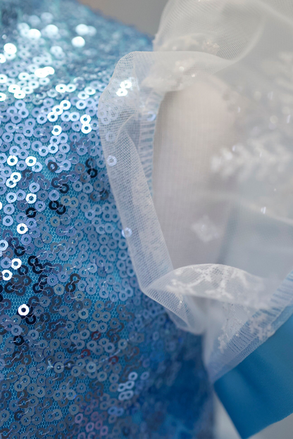 Blue Tulle Princess Dress: Elsa Birthday Party Dress Up