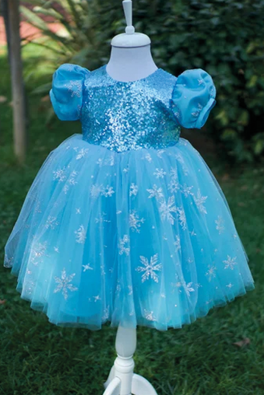 Girls' Elsa Princess Dress: Blue Fluffy Tutu, Birthday Party Dress