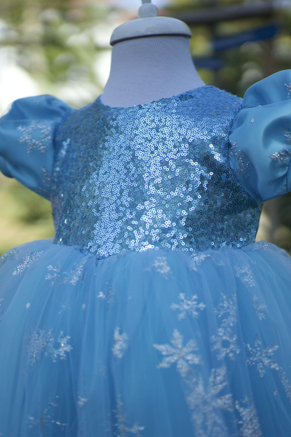 Girls' Elsa Princess Dress: Blue Fluffy Tutu, Birthday Party Dress