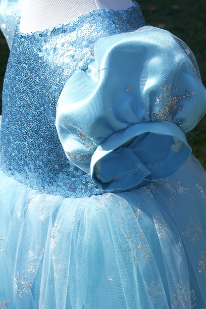 Girls' Elsa Princess Dress: Blue Fluffy Tutu, Birthday Party Dress
