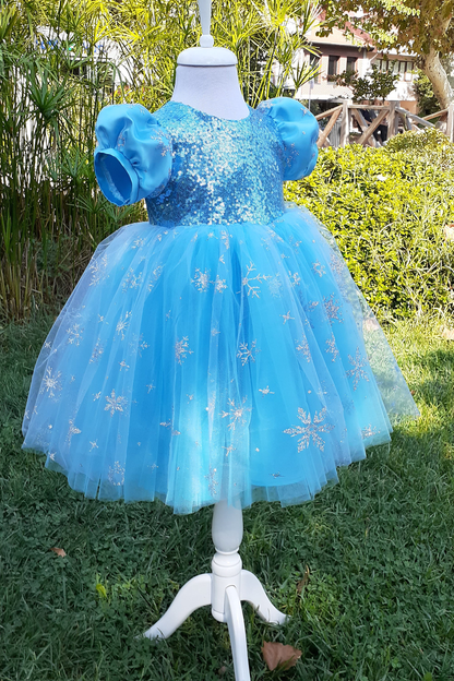 Girls' Elsa Princess Dress: Blue Fluffy Tutu, Birthday Party Dress