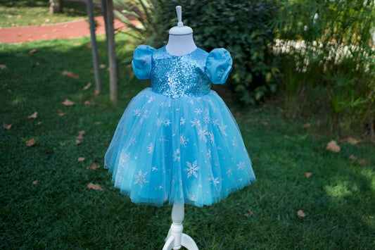 Girls' Elsa Princess Dress: Blue Fluffy Tutu, Birthday Party Dress