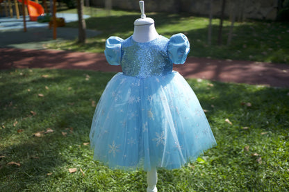Girls' Elsa Princess Dress: Blue Fluffy Tutu, Birthday Party Dress
