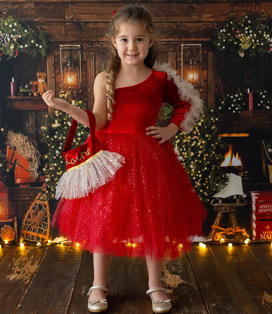 Red Velvet Christmas Dress: Shiny Tulle Holiday Dress with Personalized Bag