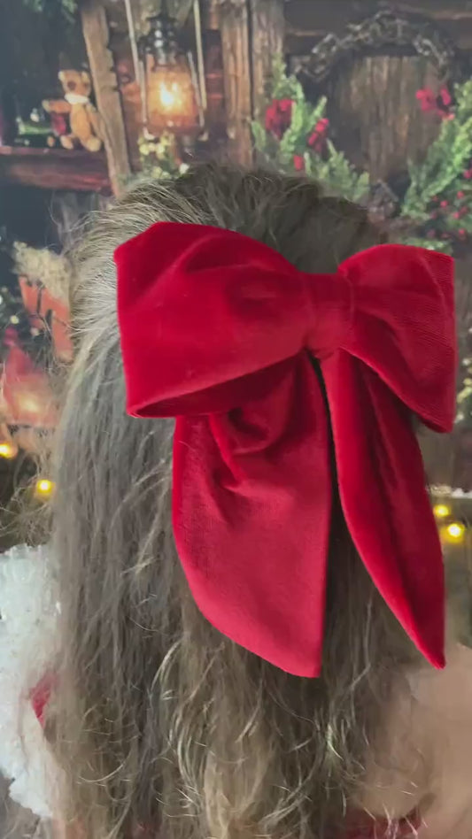 Red Velvet Christmas Dress: Shiny Tulle Dress with Personalized Bag